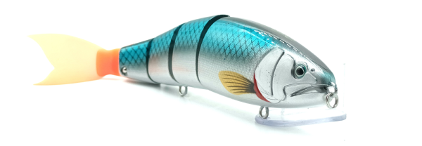 Swimbait Plötze 245mm #019